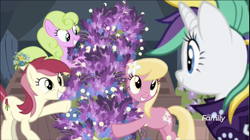 Size: 1324x740 | Tagged: safe, screencap, character:daisy, character:lily, character:lily valley, character:rarity, character:roseluck, species:earth pony, species:pony, species:unicorn, episode:it isn't the mane thing about you, g4, my little pony: friendship is magic, alternate hairstyle, discovery family logo, female, flower trio, lavender, mare, punkity