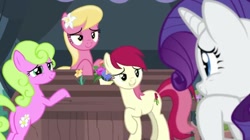 Size: 1024x572 | Tagged: safe, screencap, character:daisy, character:lily, character:lily valley, character:rarity, character:roseluck, episode:it isn't the mane thing about you, g4, my little pony: friendship is magic, flower trio