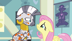 Size: 1920x1080 | Tagged: safe, screencap, character:fluttershy, character:zecora, species:pegasus, species:pony, species:zebra, episode:a health of information, g4, my little pony: friendship is magic, cute, duo, ear piercing, earring, female, floppy ears, frown, jewelry, mare, neck rings, piercing, raised hoof, sad, shyabetes, sick, spots, swamp fever