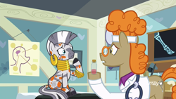 Size: 1920x1080 | Tagged: safe, screencap, character:doctor muffin top, character:zecora, species:earth pony, species:pony, species:zebra, episode:a health of information, g4, my little pony: friendship is magic, clothing, discovery family logo, frown, stethoscope, swamp fever, test tube, worried, x-ray, x-ray picture