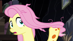 Size: 1920x1080 | Tagged: safe, screencap, character:fluttershy, episode:a health of information, g4, my little pony: friendship is magic, discovery family logo, solo, swamp fever