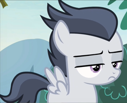 Size: 912x742 | Tagged: safe, screencap, character:rumble, species:pegasus, species:pony, episode:marks and recreation, g4, my little pony: friendship is magic, colt, cropped, male, solo, unimpressed