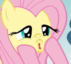 Size: 764x687 | Tagged: safe, screencap, character:fluttershy, character:pinkie pie, episode:too many pinkie pies, g4, my little pony: friendship is magic, squishy, squishy cheeks