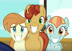 Size: 722x507 | Tagged: safe, screencap, character:agua fresca, character:lily peel, character:paddleball, species:pony, episode:once upon a zeppelin, g4, my little pony: friendship is magic, awkward, creepy, face of mercy, grin, smiling