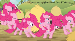 Size: 641x351 | Tagged: safe, screencap, character:pinkie pie, species:earth pony, species:pony, episode:too many pinkie pies, g4, my little pony: friendship is magic, clone, female, fun fun fun, mare, migration, multeity, pinkie clone, science, too much pink energy is dangerous