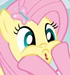 Size: 248x266 | Tagged: safe, screencap, character:fluttershy, character:pinkie pie, episode:too many pinkie pies, g4, my little pony: friendship is magic, squishy, squishy cheeks