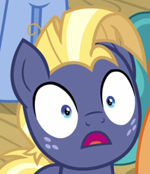 Size: 314x364 | Tagged: safe, screencap, character:star tracker, episode:once upon a zeppelin, g4, my little pony: friendship is magic, airship, cropped, shrunken pupils, surprised, trackerbetes, zeppelin