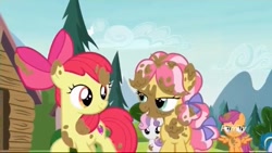 Size: 1037x584 | Tagged: safe, screencap, character:apple bloom, character:kettle corn, character:scootaloo, character:sweetie belle, species:pegasus, species:pony, episode:marks and recreation, g4, my little pony: friendship is magic, bedroom eyes, mud