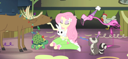 Size: 1280x595 | Tagged: safe, screencap, character:angel bunny, character:fluttershy, species:bird, species:chicken, species:deer, episode:shake your tail, equestria girls:rainbow rocks, g4, my little pony:equestria girls, boots, butterfly, christmas, christmas lights, clothing, cute, eyes closed, flamingo, hank, hat, holiday, party hat, raccoon, shoes, shyabetes, skirt, socks, stag
