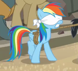 Size: 289x262 | Tagged: safe, screencap, character:rainbow dash, episode:daring done, blindfold, bondage, bound wings, cropped, rope, solo focus, tied up