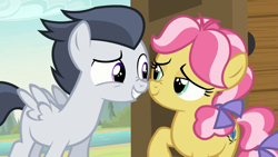 Size: 1631x923 | Tagged: safe, screencap, character:kettle corn, character:rumble, species:earth pony, species:pegasus, species:pony, episode:marks and recreation, g4, my little pony: friendship is magic, boop, colt, duo, female, filly, foal, lidded eyes, male, nose to nose, nose wrinkle, noseboop, shipping fuel, smiling
