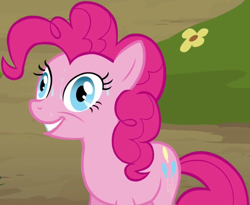 Size: 762x626 | Tagged: safe, screencap, character:pinkie pie, episode:too many pinkie pies, g4, my little pony: friendship is magic, cropped, nervous grin, solo, sweat