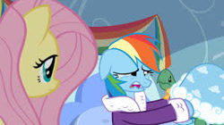 Size: 300x168 | Tagged: safe, screencap, character:fluttershy, character:rainbow dash, character:tank, species:pegasus, species:pony, episode:tanks for the memories, g4, my little pony: friendship is magic, bathrobe, clothing, crying, cute, dashabetes, dashie slippers, female, mare, picture for breezies, robe, sadorable, slippers, tortoise, turtle
