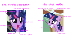 Size: 1920x1080 | Tagged: safe, screencap, character:twilight sparkle, character:twilight sparkle (alicorn), species:alicorn, species:pony, episode:shadow play, episode:the cutie mark chronicles, g4, my little pony: friendship is magic, comparison, criticism, cropped, faec, misspelling, virgin walk