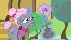 Size: 1920x1080 | Tagged: safe, screencap, species:pony, species:unicorn, episode:shadow play, g4, my little pony: friendship is magic, bow tie, clothing, curved horn, elderly, female, flower, glowing horn, hair bun, levitation, magic, mare, mistmane's flower, old gardener, potted plant, shirt, tail bun, telekinesis, tree