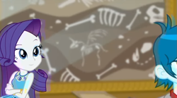 Size: 843x469 | Tagged: safe, screencap, character:rarity, species:alicorn, species:pony, episode:school of rock, g4, my little pony:equestria girls, bone, fossil, geode of shielding, skeleton, skeleton pony, thunderbass