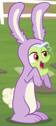 Size: 350x790 | Tagged: safe, screencap, character:granny smith, species:earth pony, species:pony, episode:family appreciation day, g4, my little pony: friendship is magic, animal costume, bunny costume, clothing, costume, cropped, female, mare, solo