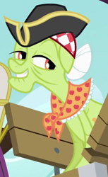 Size: 318x518 | Tagged: safe, screencap, character:granny smith, episode:pinkie apple pie, g4, my little pony: friendship is magic, clothing, costume, pirate, solo