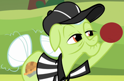 Size: 1500x980 | Tagged: safe, screencap, character:granny smith, episode:buckball season, g4, my little pony: friendship is magic, cap, clothing, hat, referee, referee shirt, solo