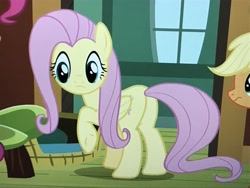 Size: 4032x3024 | Tagged: safe, screencap, character:fluttershy, episode:fluttershy leans in, g4, my little pony: friendship is magic, plot