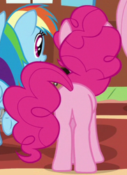 Size: 262x359 | Tagged: safe, screencap, character:pinkie pie, episode:fluttershy leans in, g4, my little pony: friendship is magic, cropped, plot