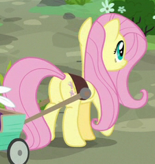Size: 226x240 | Tagged: safe, screencap, character:fluttershy, episode:fluttershy leans in, g4, my little pony: friendship is magic, cropped, flutterbutt, plot