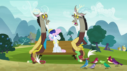 Size: 1280x720 | Tagged: safe, screencap, character:discord, character:pearly stitch, species:bird, species:draconequus, species:earth pony, species:pony, episode:discordant harmony, g4, my little pony: friendship is magic, bird seed, blue jay, female, glasses, male, mare, self paradox, songbird