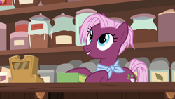 Size: 1280x720 | Tagged: safe, screencap, character:jasmine leaf, species:earth pony, species:pony, episode:discordant harmony, g4, my little pony: friendship is magic, female, mare, solo, tea shop