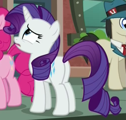 Size: 507x483 | Tagged: safe, screencap, character:rarity, episode:the gift of the maud pie, g4, my little pony: friendship is magic, cropped, plot