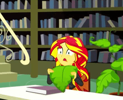 Size: 418x340 | Tagged: safe, screencap, character:sunset shimmer, episode:epic fails, eqg summertime shorts, g4, my little pony:equestria girls, animated, book, clothing, jacket, library, plant, sheet