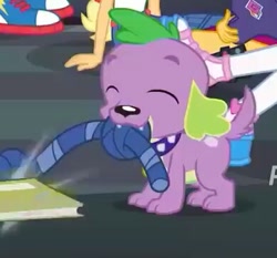 Size: 389x363 | Tagged: safe, screencap, character:spike, character:spike (dog), species:dog, episode:the finals countdown, g4, my little pony:equestria girls, converse, cropped, eyes closed, male, paws, puppy, shoes