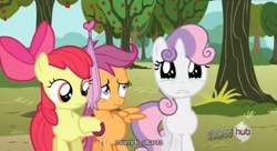 Size: 638x348 | Tagged: safe, edit, edited screencap, screencap, character:apple bloom, character:scootaloo, character:sweetie belle, species:pegasus, species:pony, episode:one bad apple, g4, my little pony: friendship is magic, apple tree, atlanta, caption, miami, tree, umbrella, youtube caption