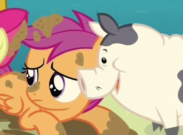 Size: 595x438 | Tagged: safe, screencap, character:apple bloom, character:scootaloo, species:pegasus, species:pony, episode:one bad apple, g4, my little pony: friendship is magic, animated, camera flashes, cropped, gif, licking, mud, muddy, pig, solo focus