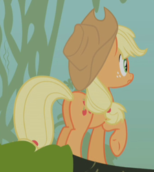 Size: 343x382 | Tagged: safe, screencap, character:applejack, species:earth pony, species:pony, episode:bridle gossip, g4, my little pony: friendship is magic, appletini, cropped, female, freckles, mare, plot, raised hoof, rear view, solo
