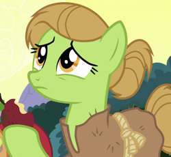 Size: 1100x1010 | Tagged: safe, screencap, species:earth pony, species:pony, episode:campfire tales, g4, my little pony: friendship is magic, apple, background pony, burlap, cropped, female, food, hair bun, hoof hold, mare, rotten apple, solo, unnamed pony