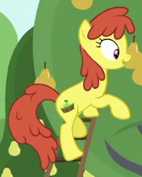 Size: 205x255 | Tagged: safe, screencap, species:earth pony, species:pony, episode:the perfect pear, g4, my little pony: friendship is magic, background pony, cropped, food, ladder, pear, pear family member, pear tree, solo, unnamed pony