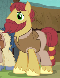 Size: 535x695 | Tagged: safe, screencap, species:earth pony, species:pony, episode:campfire tales, g4, my little pony: friendship is magic, background pony, beard, clothing, cropped, facial hair, male, moustache, solo focus, stallion, unnamed pony