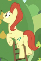 Size: 188x275 | Tagged: safe, screencap, character:sweet strike, species:earth pony, species:pony, episode:the perfect pear, g4, my little pony: friendship is magic, background pony, cropped, food, pear, pear family member, pear tree, plot, solo, underhoof