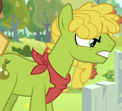 Size: 1000x912 | Tagged: safe, screencap, character:cinnamon pear, character:cornice pear, species:earth pony, species:pony, episode:the perfect pear, g4, my little pony: friendship is magic, angry, background pony, bandana, cropped, feud, food, male, neckerchief, pear, pear family, pear family member, pear tree, shiny concorde, solo focus, stallion, unnamed pony