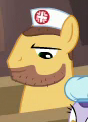 Size: 88x122 | Tagged: safe, screencap, species:pony, episode:where the apple lies, g4, my little pony: friendship is magic, background pony, beard, clothing, cropped, facial hair, hat, male, nurse, nurse hat, picture for breezies, solo, stallion, unnamed pony