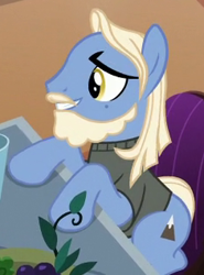 Size: 235x317 | Tagged: safe, screencap, species:earth pony, species:pony, episode:viva las pegasus, g4, my little pony: friendship is magic, beard, cropped, facial hair, male, moustache, solo, stallion, summit point