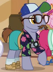 Size: 288x388 | Tagged: safe, screencap, character:butterscotch sweets, character:country mile, species:pony, episode:viva las pegasus, g4, my little pony: friendship is magic, camera, cap, clothing, cropped, facial hair, glasses, hat, moustache, shoes