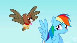 Size: 1280x720 | Tagged: safe, screencap, character:owlowiscious, character:rainbow dash, character:winona, species:chimera, species:pegasus, species:pony, episode:may the best pet win, g4, my little pony: friendship is magic, allpet, collar, dog collar, dream, flying, panting, tongue out