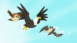 Size: 1279x720 | Tagged: safe, screencap, species:bat, species:bird, species:owl, episode:may the best pet win, g4, my little pony: friendship is magic, animal, bald eagle, bird of prey, eagle, falcon, flying, peregrine falcon, sky