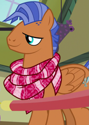 Size: 765x1080 | Tagged: safe, screencap, character:spearhead, species:pegasus, species:pony, episode:a flurry of emotions, g4, my little pony: friendship is magic, clothing, cropped, male, scarf, solo, stallion