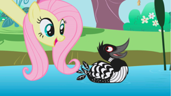 Size: 1281x720 | Tagged: safe, screencap, character:fluttershy, species:bird, species:pegasus, species:pony, episode:the ticket master, g4, my little pony: friendship is magic, animal, avian, birb, bird house, female, long neck, loon, mare, open mouth, solo