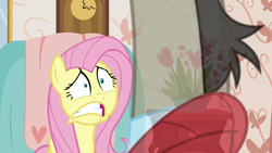 Size: 1280x720 | Tagged: safe, screencap, character:discord, character:fluttershy, episode:discordant harmony, g4, my little pony: friendship is magic, clothing, fading, sweater, transparent, worried
