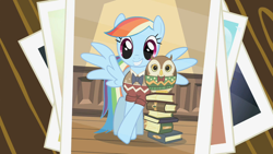 Size: 1280x720 | Tagged: safe, screencap, character:rainbow dash, species:bird, species:owl, species:pegasus, species:pony, episode:may the best pet win, g4, my little pony: friendship is magic, book, clothing, crossed hooves, duo, leaning, photo, pose, side by side, smiling, sweater