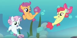 Size: 738x362 | Tagged: safe, screencap, character:apple bloom, character:scootaloo, character:sweetie belle, species:pegasus, species:pony, species:seapony (g4), episode:surf and/or turf, g4, my little pony: friendship is magic, cutie mark crusaders, sea-mcs, seaponified, seapony apple bloom, seapony scootaloo, seapony sweetie belle, species swap, trio, underwater