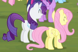 Size: 510x341 | Tagged: safe, screencap, character:fluttershy, character:rarity, episode:equestria games, g4, my little pony: friendship is magic, cropped, plot